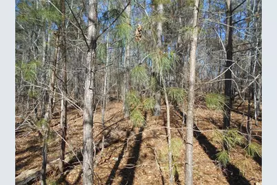 1201 Spinnaker Rd, Buckhead, GA 30625 - Photo 9