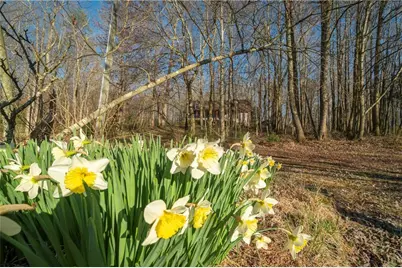 96 Joyce Drive, Cleveland, GA 30528 - Photo 11