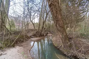 96 Joyce Dr, Cleveland, GA 30528 - Photo 83