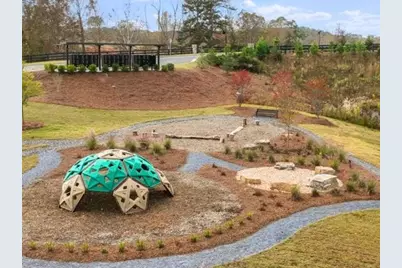 8810 Avonbrook Close, Ball Ground, GA 30107 - Photo 39