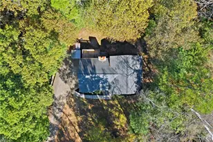 314 Calusa Pl, Ball Ground, GA 30107 - Photo 39