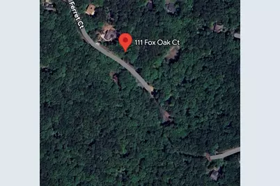 111 Fox Oak Court, Waleska, GA 30183 - Photo 11