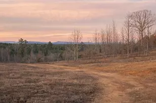 1590 Buttermilk Rd SW, Cave Spring, GA 30124 - Photo 5