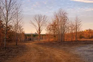 1590 Buttermilk Rd SW, Cave Spring, GA 30124 - Photo 3