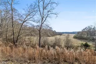 285 Yaupon Trail, Braselton, GA 30517 - Photo 25