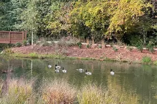 340 Olmstead Wy, Alpharetta, GA 30022 - Photo 33