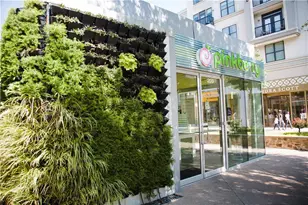 205 Midnight Oak Run, Alpharetta, GA 30009 - Photo 41