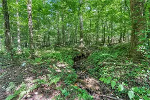 414 Twin Mountain Lake Cir, Talking Rock, GA 30175 - Photo 3