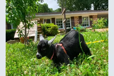 3933 Barr Circle, Tucker, GA 30084 - Photo 39