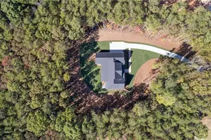 165 Highlands Chase, Ball Ground, GA 30107 - Photo 27