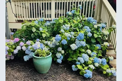 1370 Old Winder Jefferson Highway, Jefferson, GA 30549 - Photo 55