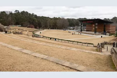 116 Swanee Lane, Woodstock, GA 30188 - Photo 29