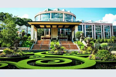 3268 Lions Ruby Lane, Atlanta, GA 30349 - Photo 9