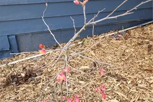 30 Westover Ridge NW, Adairsville, GA 30103 - Photo 53