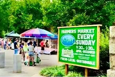 676 Hank Aaron Drive SE, Atlanta, GA 30315 - Photo 43