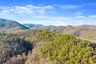 121 Waterfalls Wy, Clarkesville, GA 30523 - Photo 59