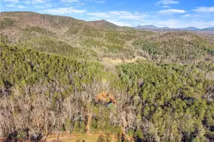 121 Waterfalls Wy, Clarkesville, GA 30523 - Photo 53