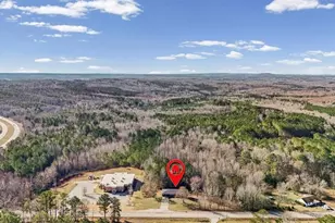 2932 Business Hwy 27, Buchanan, GA 30113 - Photo 31