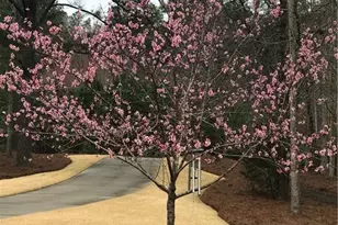 27 Retreat Ridge SE, Cartersville, GA 30120 - Photo 17