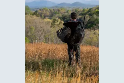 0 Dry Hollow Road, Dahlonega, GA 30533 - Photo 3