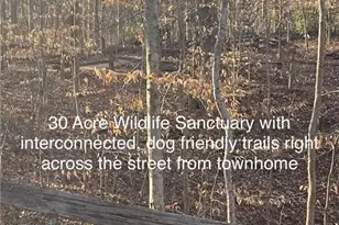 7750 Roswell Rd, Sandy Springs, GA 30350 - Photo 21