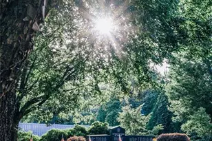 5528 Tullis Dr, Gainesville, GA 30507 - Photo 99