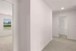 314 Friendship Oak Wy, Hampton, GA 30228 - Photo 21