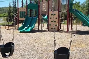 318 Friendship Oak Wy, Hampton, GA 30228 - Photo 39