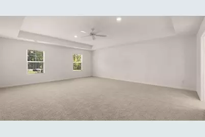 326 Friendship Oak Way, Hampton, GA 30228 - Photo 15