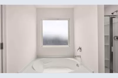 326 Friendship Oak Way, Hampton, GA 30228 - Photo 19