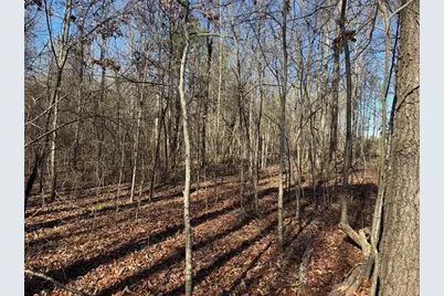 6601 Hog Mountain Hwy - Hwy 53, Bogart, GA 30622 - Photo 3