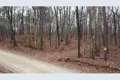 00 Treat Mountain Road, Cedartown, GA 30125 - Photo 5