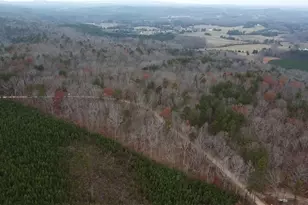 00 Treat Mountain Rd, Cedartown, GA 30125 - Photo 1