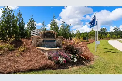 142 Aster Avenue, Locust Grove, GA 30248 - Photo 45