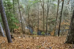 84 Yahoola Shoals Dr, Dahlonega, GA 30533 - Photo 23