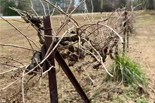 3232 Bevis Rd, Franklin, GA 30217 - Photo 29