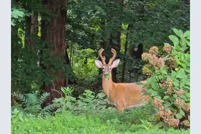 1904 Lenox Road NE, Atlanta, GA 30306 - Photo 55