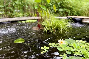 1904 Lenox Rd NE, Atlanta, GA 30306 - Photo 13