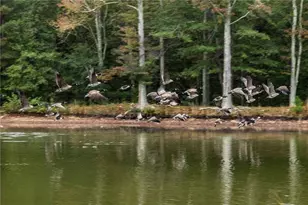 265 Honeysuckle, Temple, GA 30179 - Photo 5