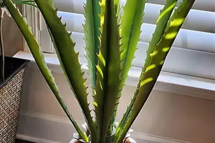 3581 Adelaide Xing, Brookhaven, GA 30319 - Photo 23