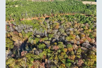 0 Browning Shoals Road, Social Circle, GA 30025 - Photo 7