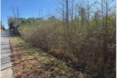 0 Norton Road, Kingston, GA 30145 - Photo 3