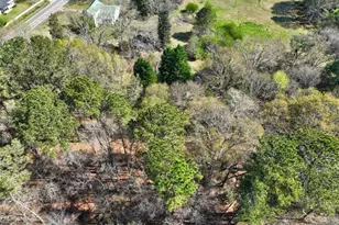 205 Hwy 186 Tract 1, Good Hope, GA 30641 - Photo 21