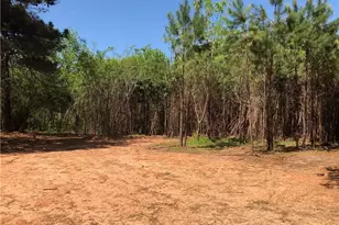 0 Hammarskjold Dr, East Point, GA 30344 - Photo 1