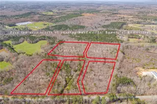 7724 Georgia Hwy 100, Buchanan, GA 30113 - Photo 45