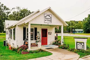369 Scarlett Rose Way, Hoschton, GA 30548 - Photo 81