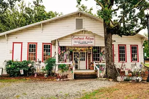 369 Scarlett Rose Way, Hoschton, GA 30548 - Photo 83