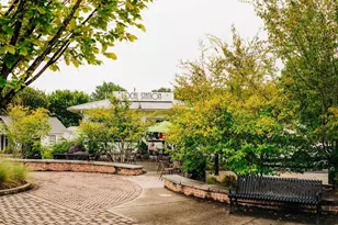 369 Scarlett Rose Way, Hoschton, GA 30548 - Photo 85