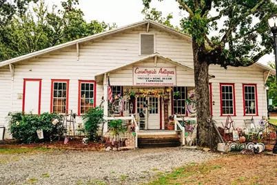 368 Scarlett Rose Way, Hoschton, GA 30548 - Photo 73