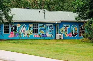 382 Scarlett Rose Way, Hoschton, GA 30548 - Photo 85